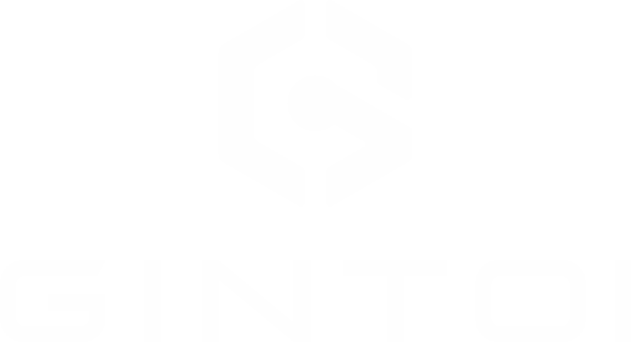 GINTOI 劲拓动漫